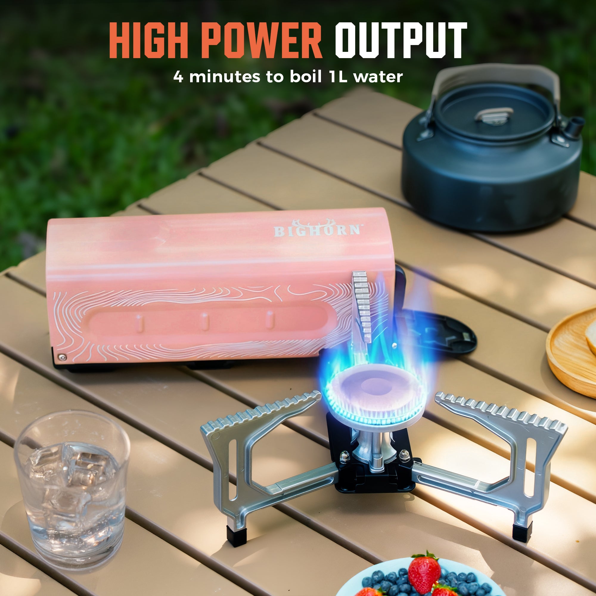 Butane Camping Stove, Portable Folding Gas Burner for Camping
