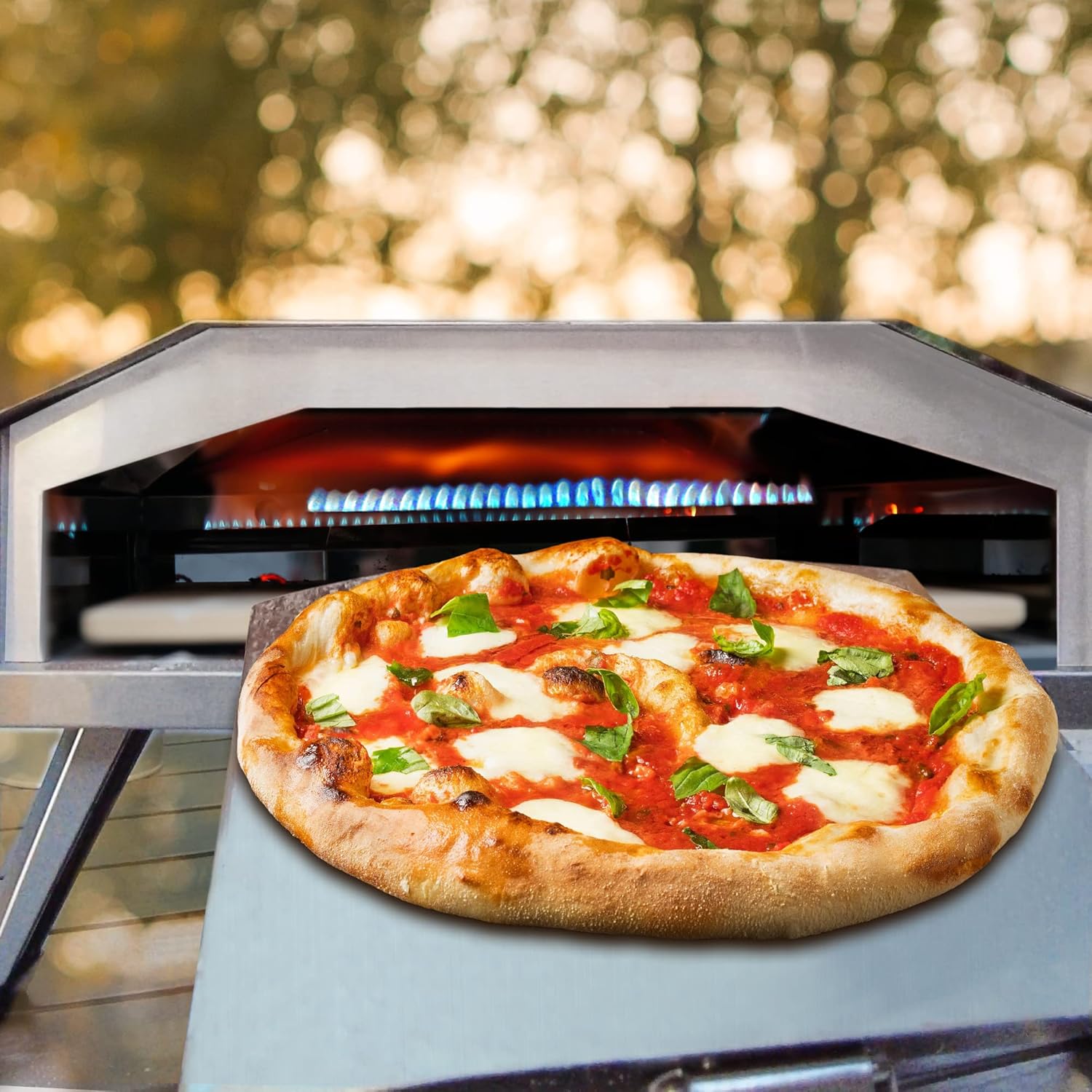 12" Stainless Steel Gas Pizza Oven with Freshly Baked Pizza, Outdoor Cooking