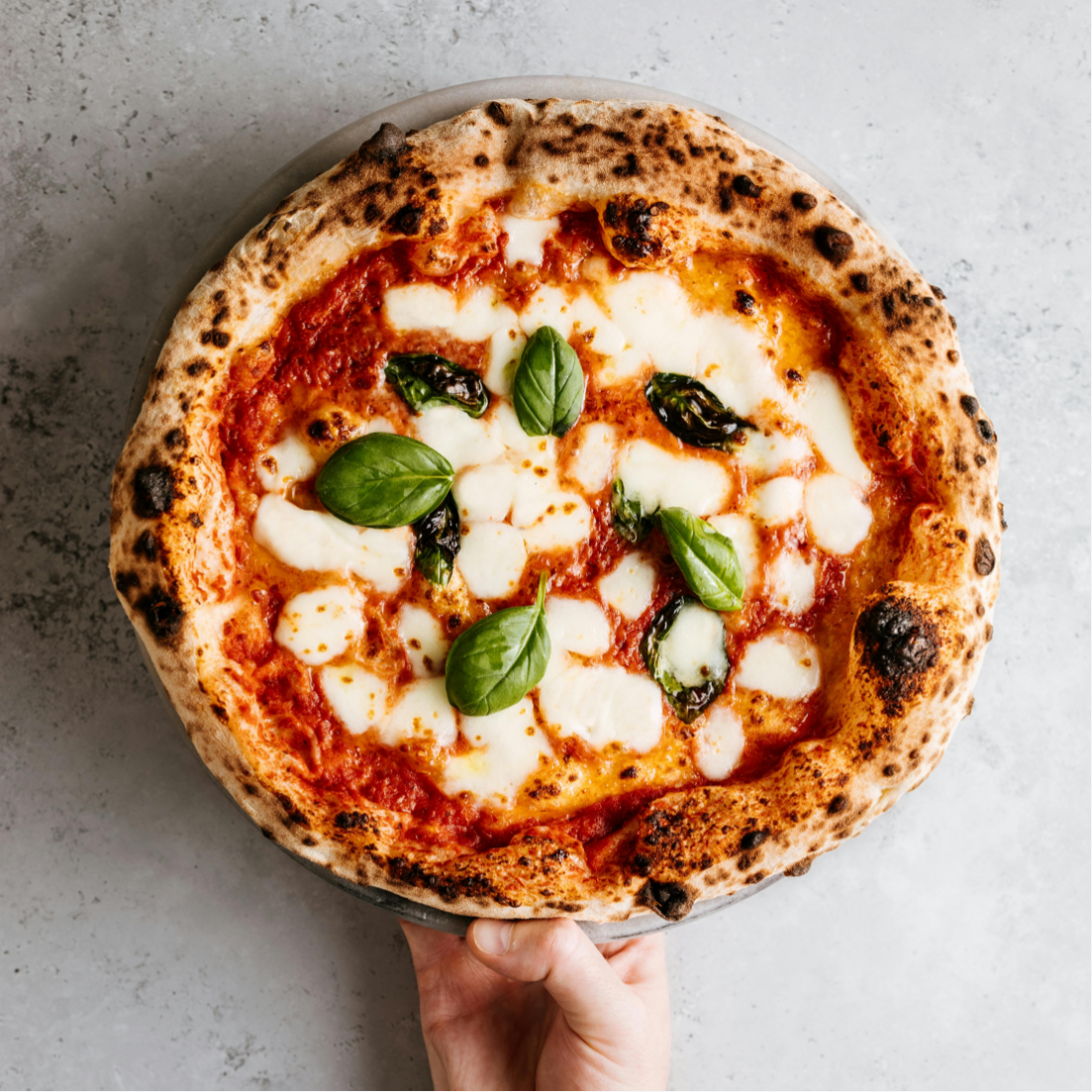 Neapolitan Margherita pizza with mozzarella, tomato sauce, and fresh basil